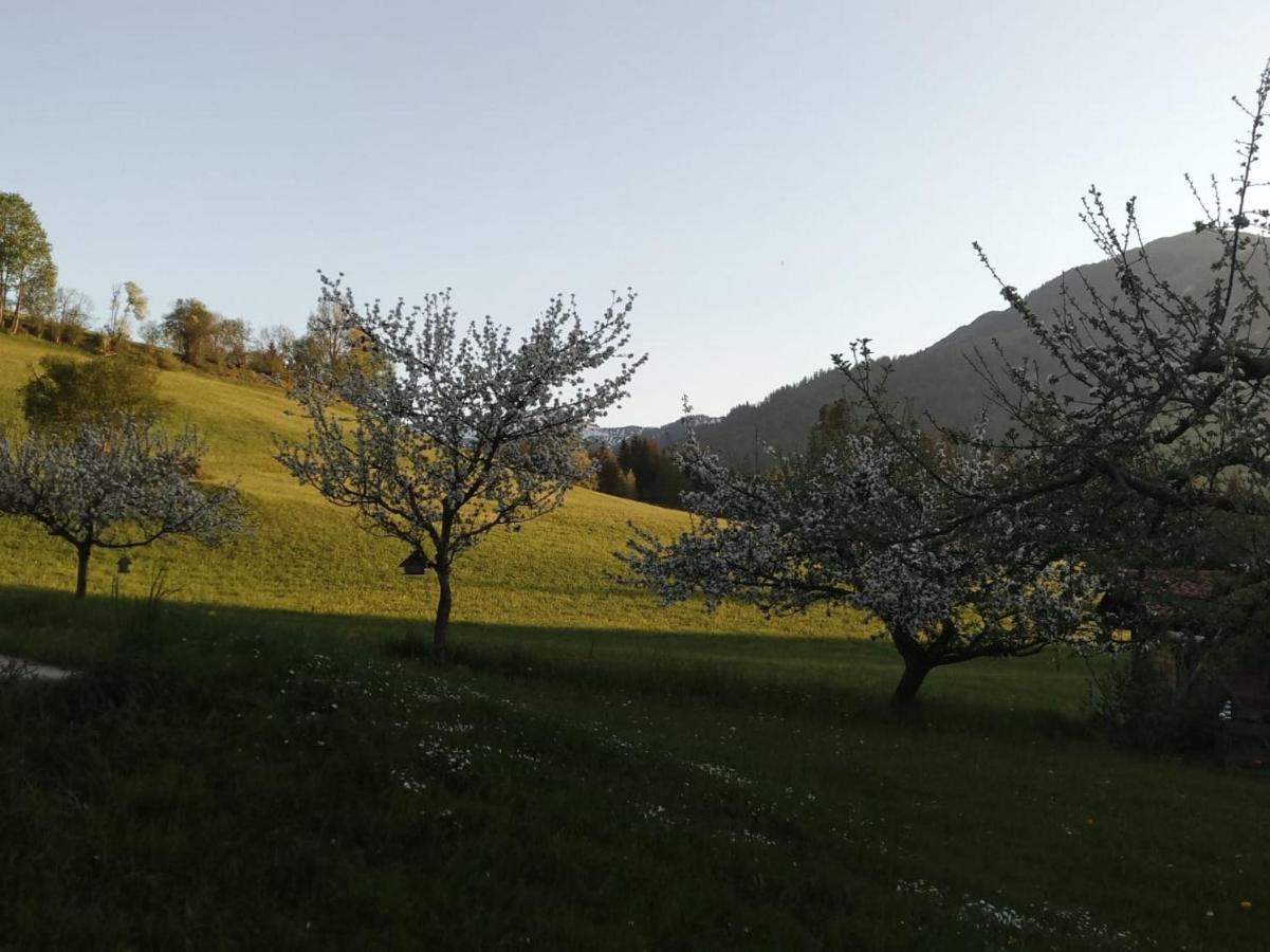 Pension Woetzinghof Kirchberg in Tirol Exterior foto