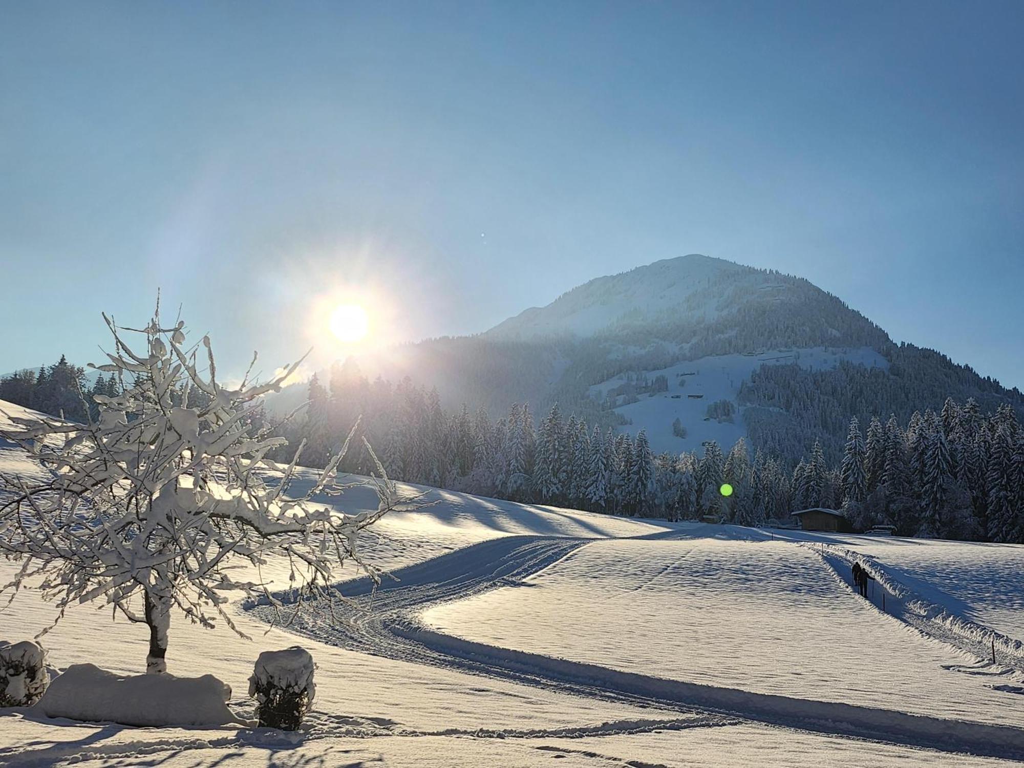 Pension Woetzinghof Kirchberg in Tirol Exterior foto